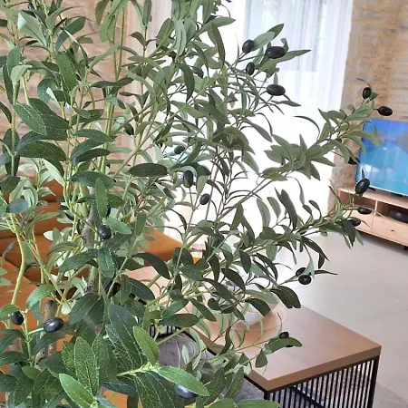 Aria Malinska With Heated Pool And Free E-bikes Villa